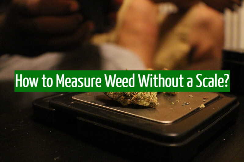 How to Measure Weed Without a Scale?