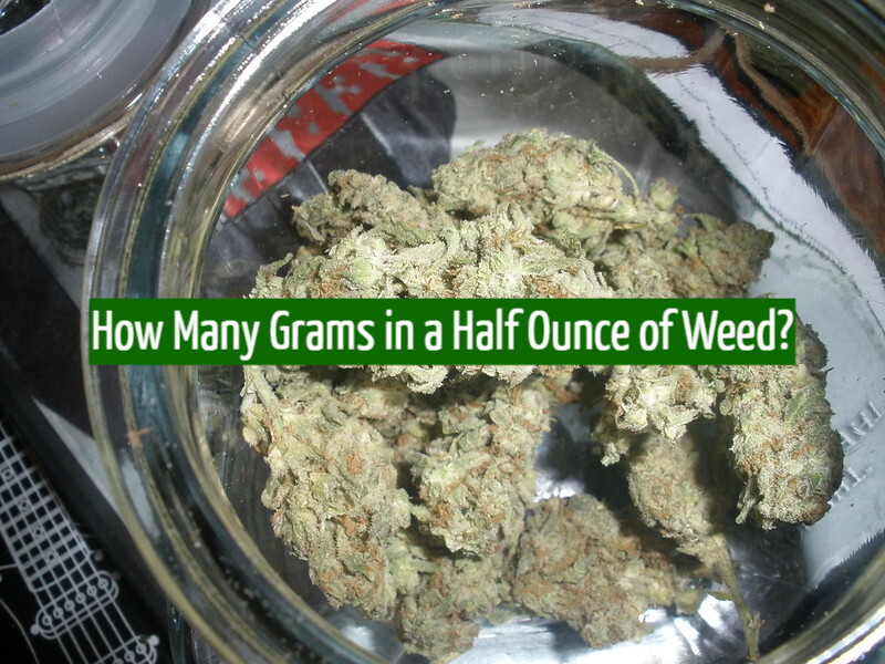 How Many Grams in a Half Ounce of Weed?