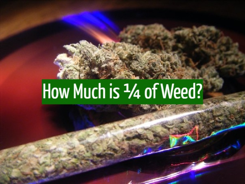How Much is ¼ of Weed?