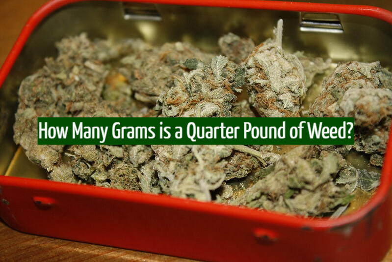How Many Grams is a Quarter Pound of Weed?