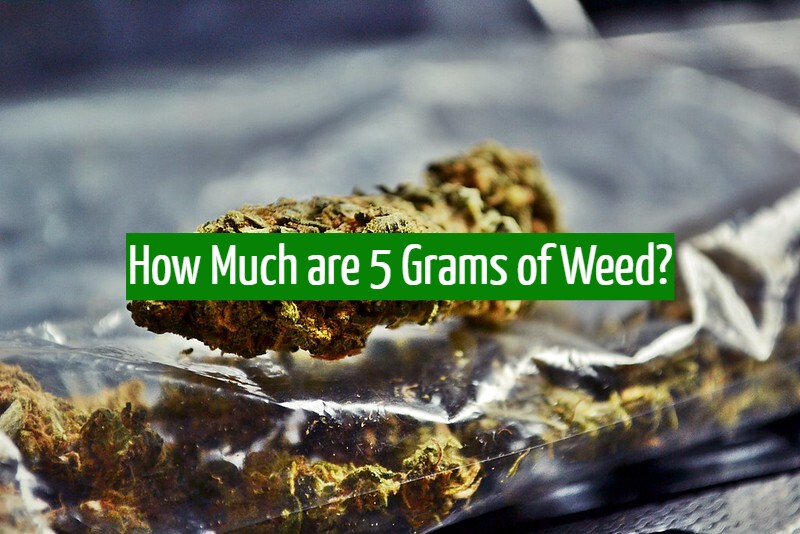 How Much are 5 Grams of Weed?