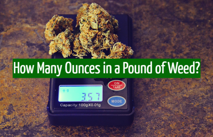 How Many Ounces in a Pound of Weed?