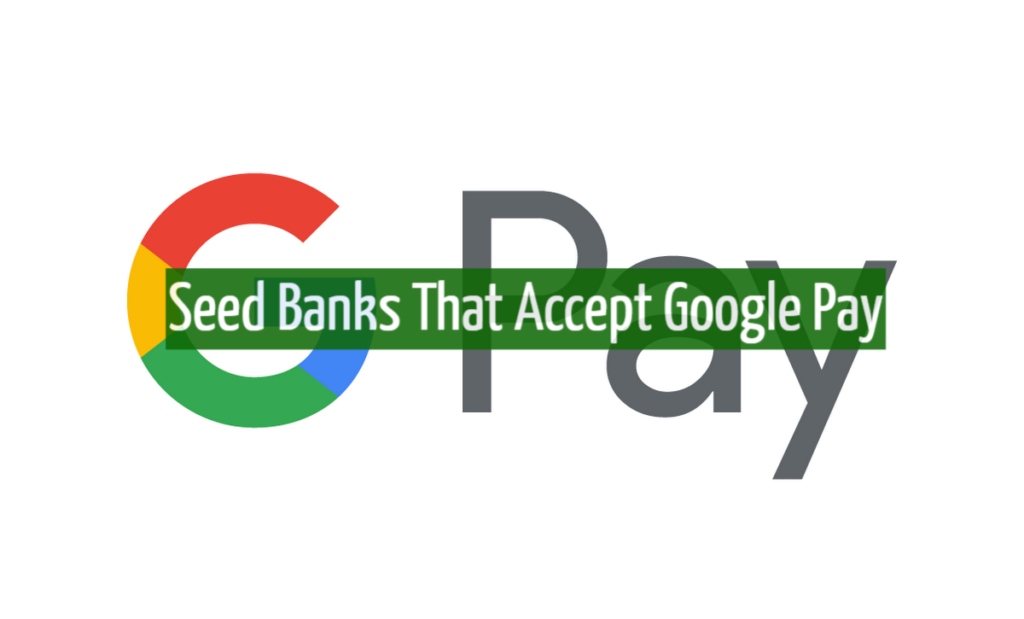 Seed Banks That Accept Google Pay