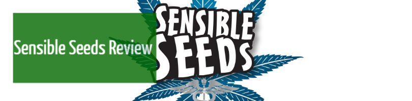 Sensible Seeds Review