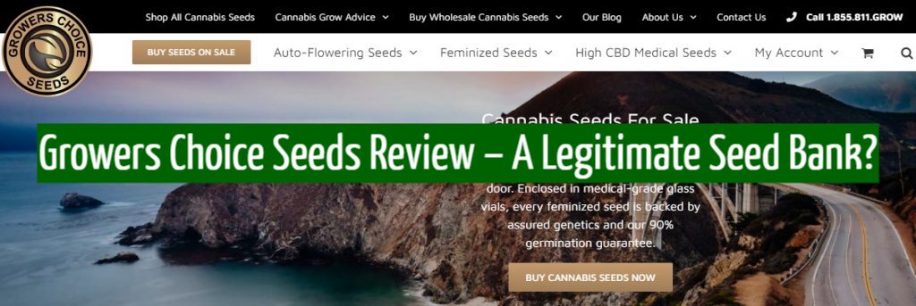 Growers Choice Seeds Review