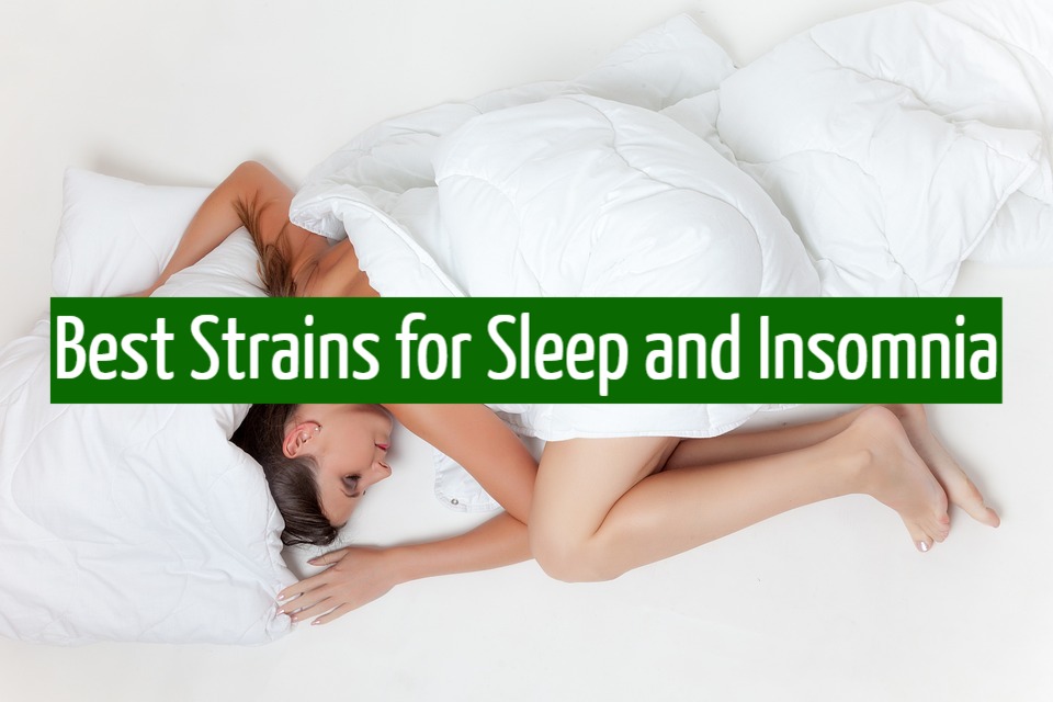 Best Strains for Sleep and Insomnia