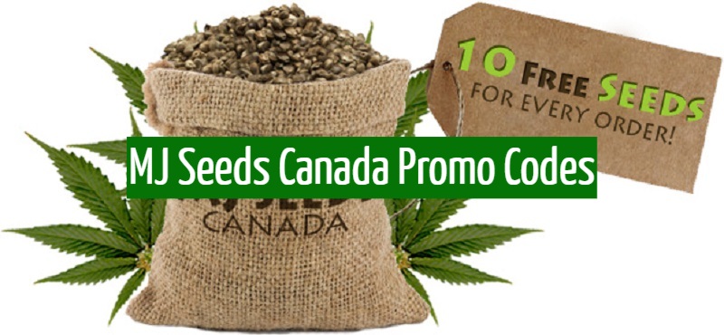 MJ Seeds Canada Promo Code