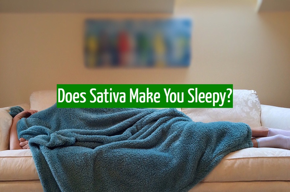 Does Sativa Make You Sleepy?