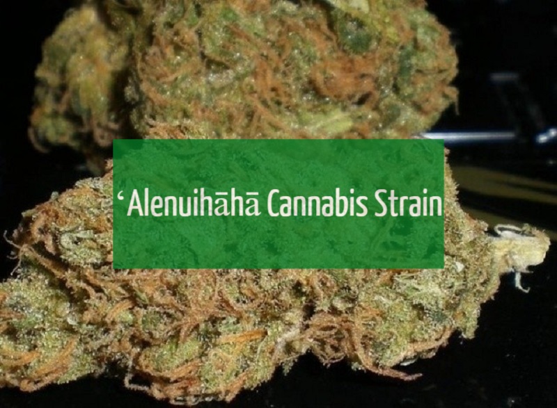 ʻAlenuihāhā Cannabis Strain