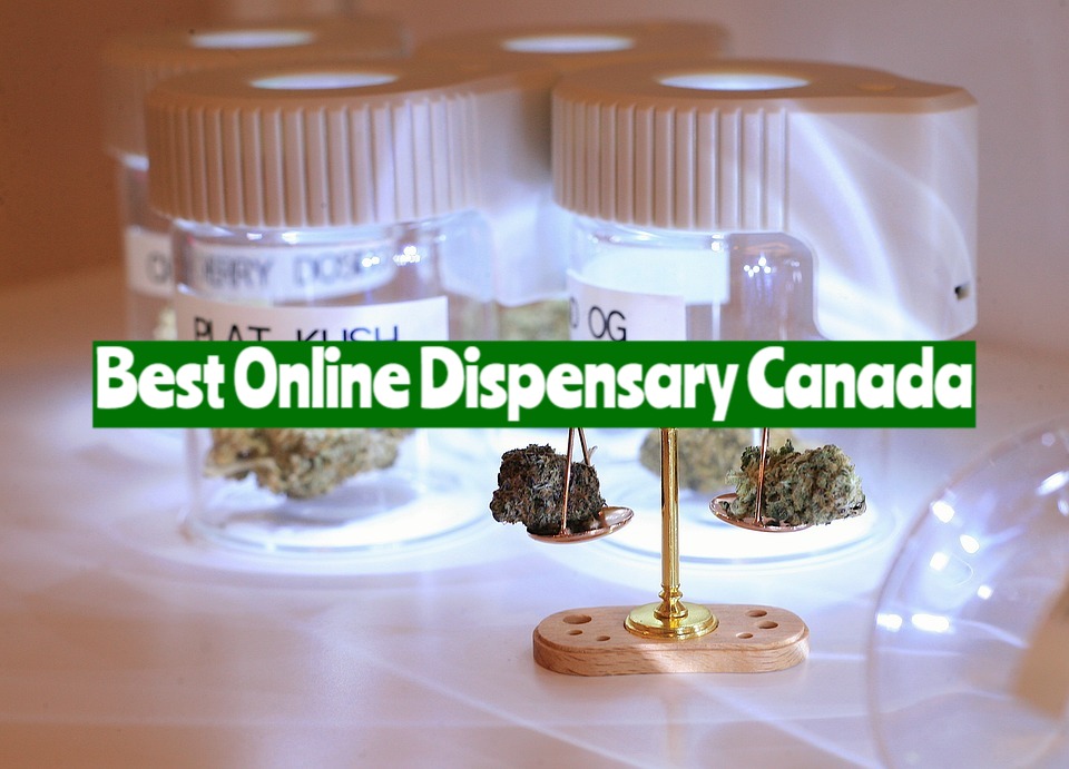 Best Online Dispensary Canada