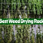 best weed drying rack