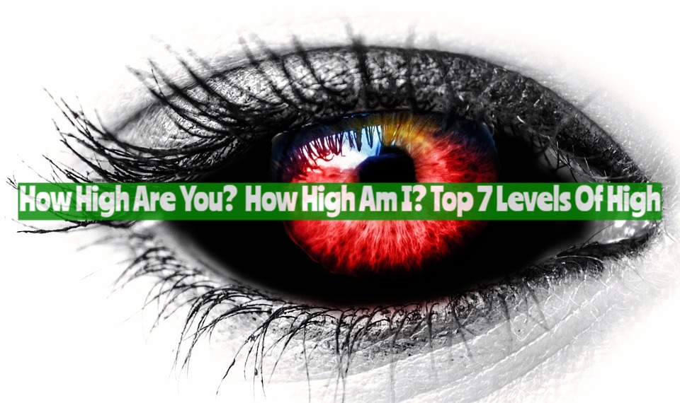 How High Are You