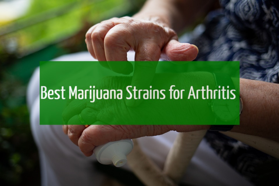 Best Marijuana Strains for Arthritis