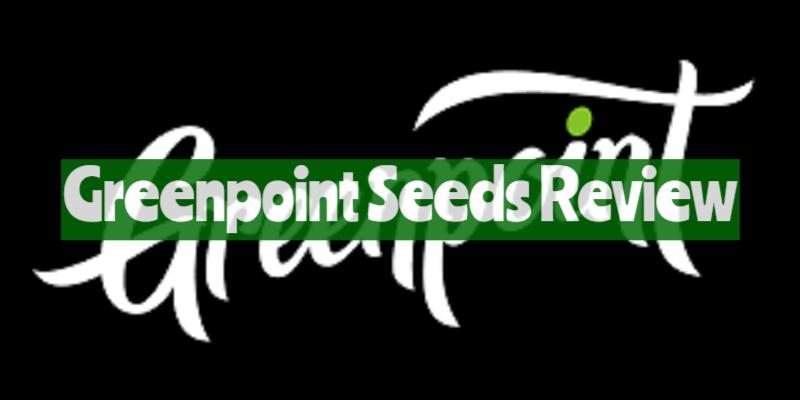 Greenpoint Seeds Review