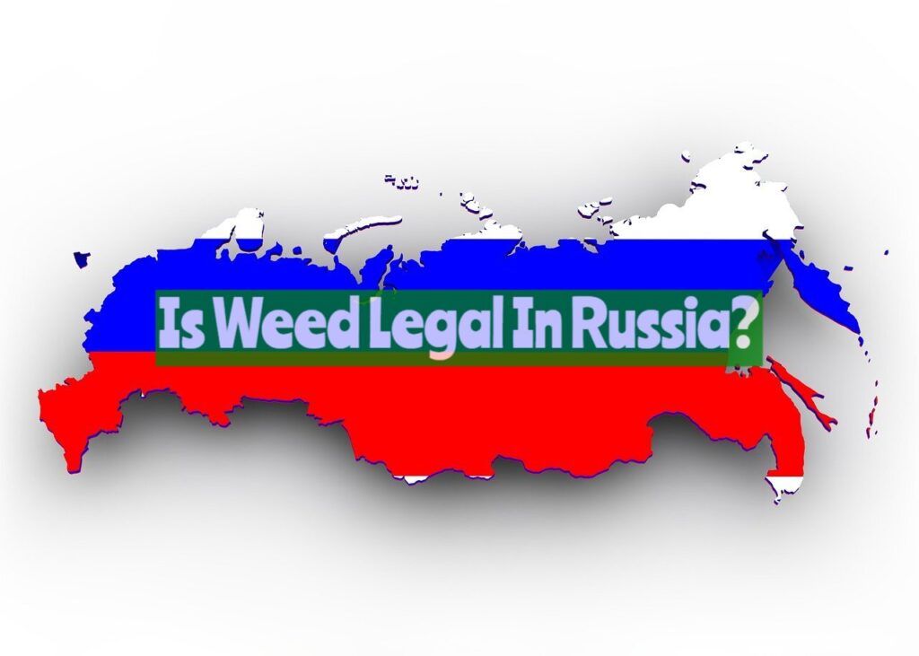 Is Weed Legal In Russia?