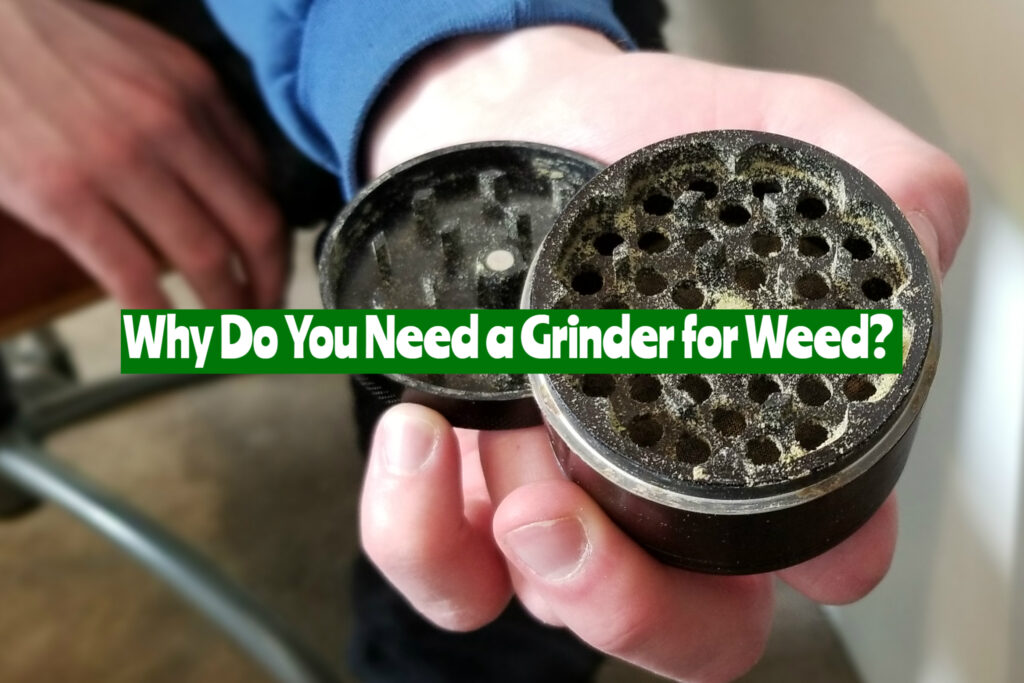 Why Do You Need a Grinder for Weed?