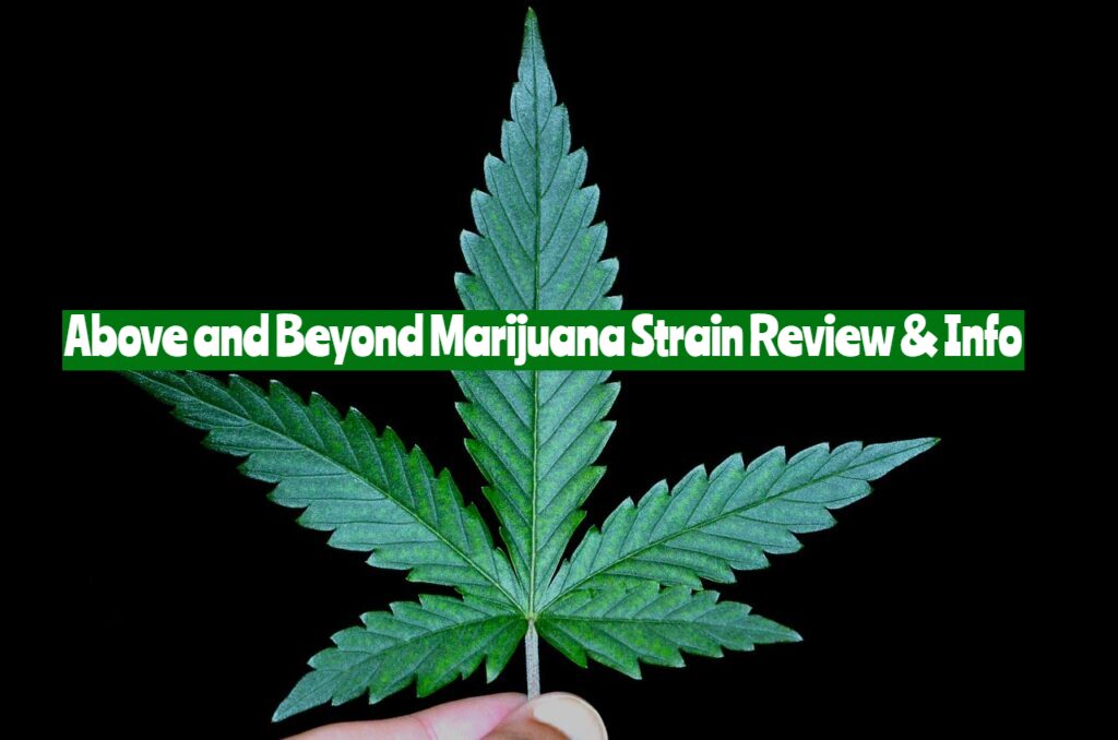 Above and Beyond Marijuana Strain Review