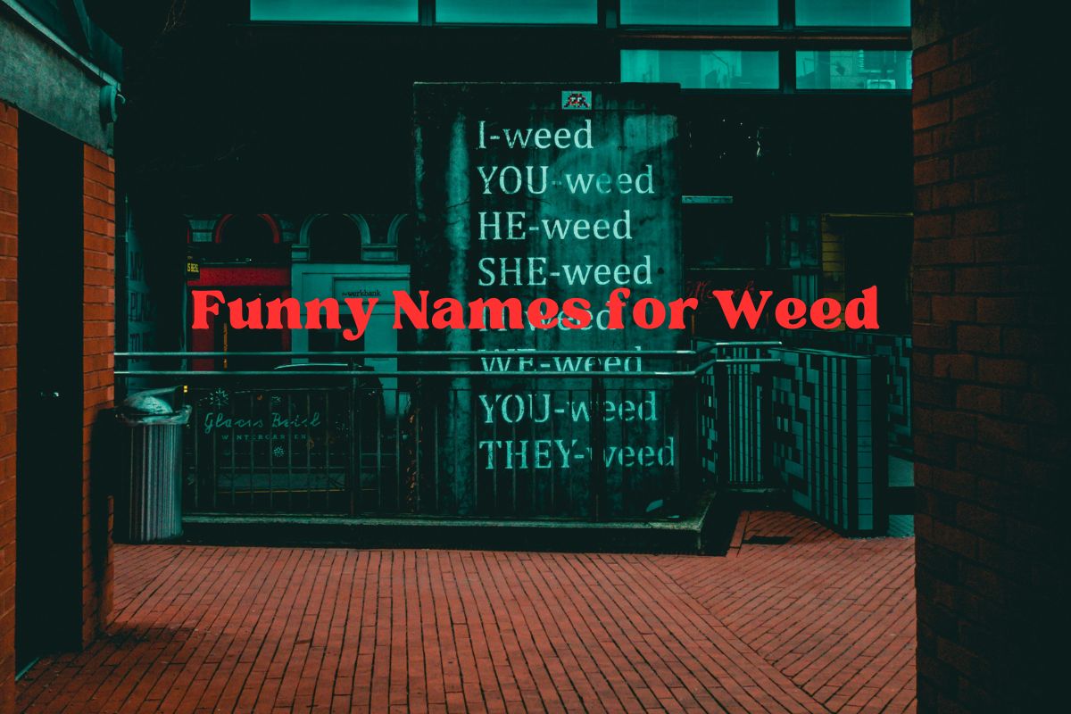 Funny Names for Weed