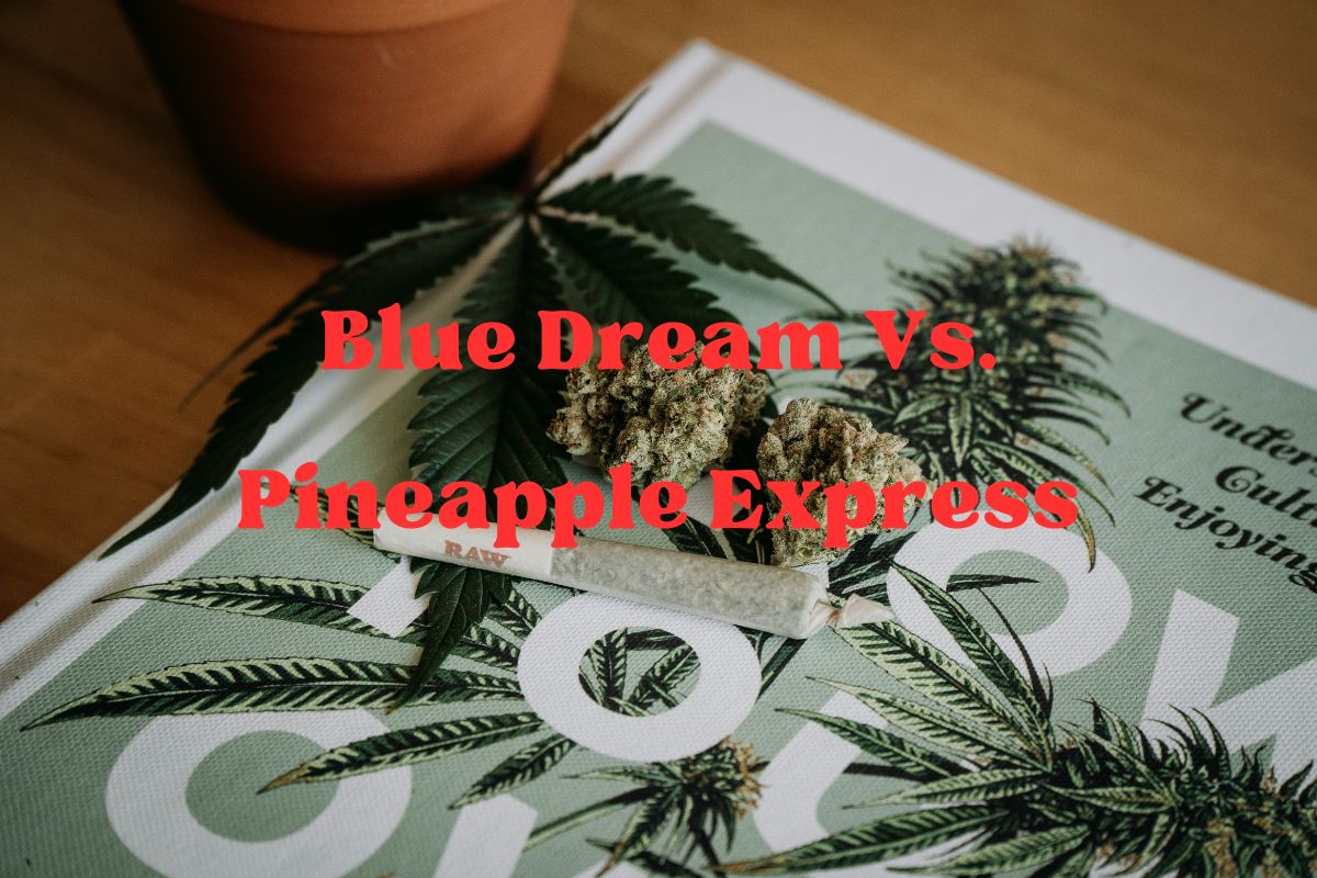 Blue Dream Vs. Pineapple Express