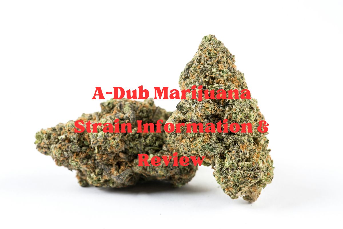 A-Dub Marijuana Strain