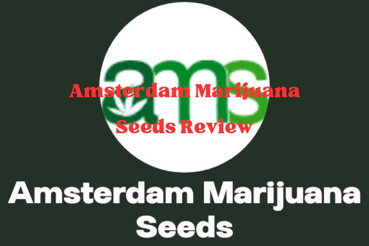 Amsterdam Marijuana Seeds Review 