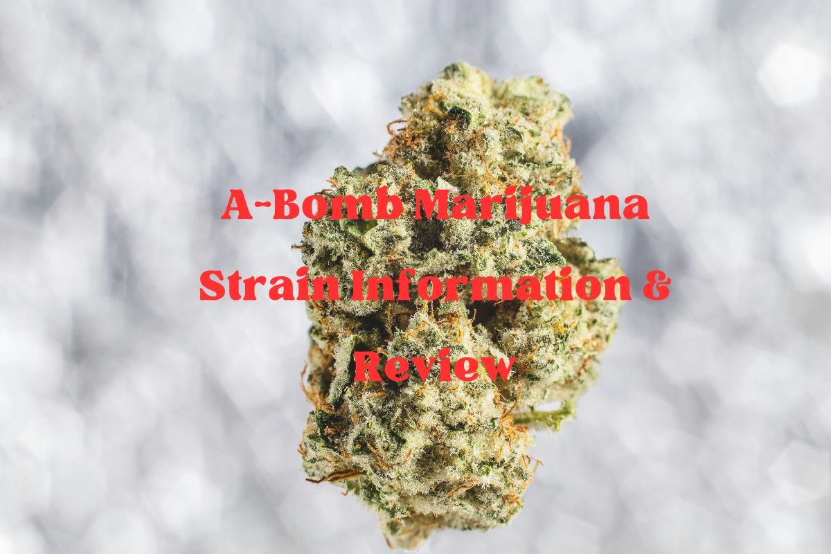 A-Bomb Marijuana Strain Information & Review