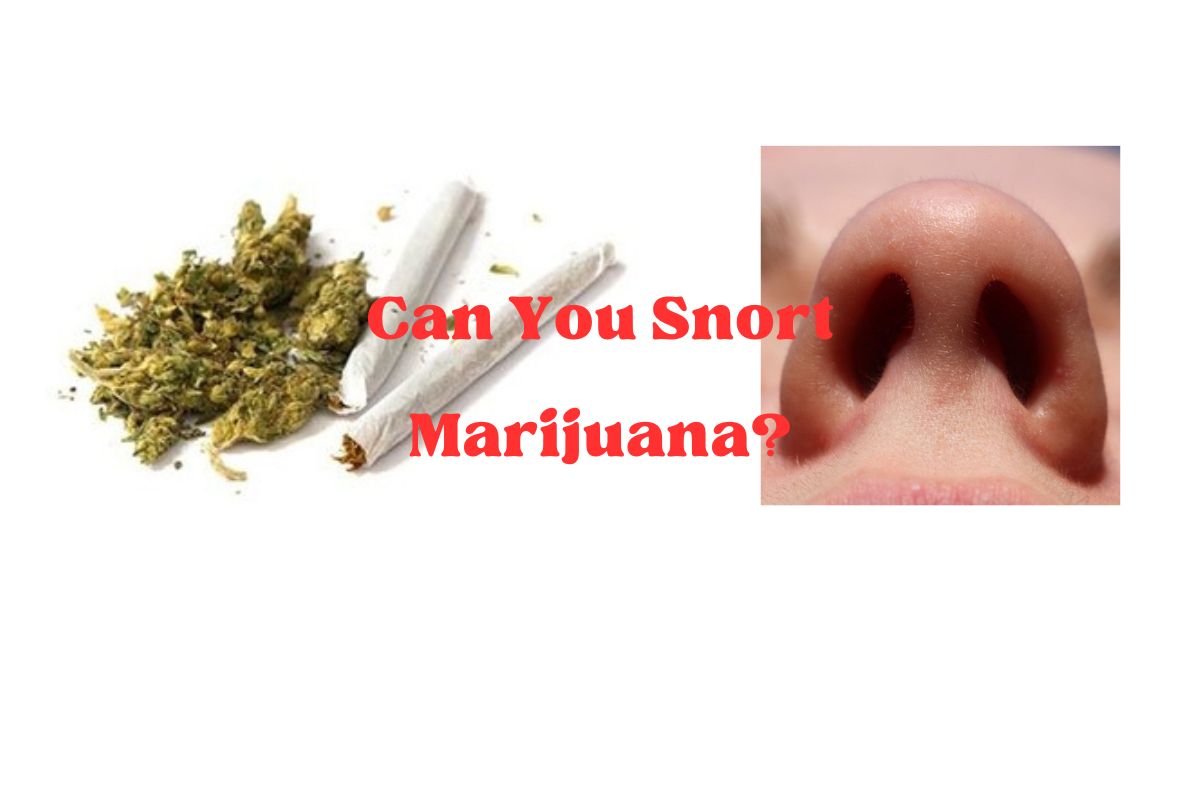 Can You Snort Marijuana?