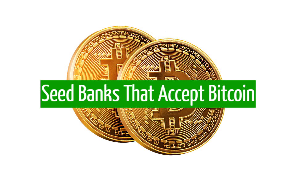 Seed Banks That Accept Bitcoin