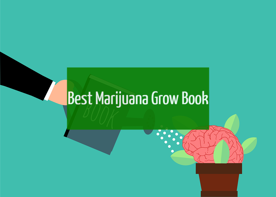 Best Marijuana Grow Book