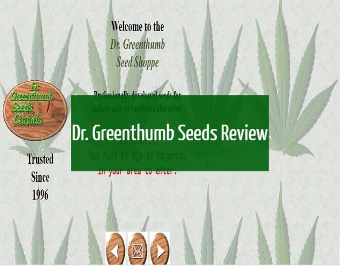 Dr. Greenthumb Seeds Review