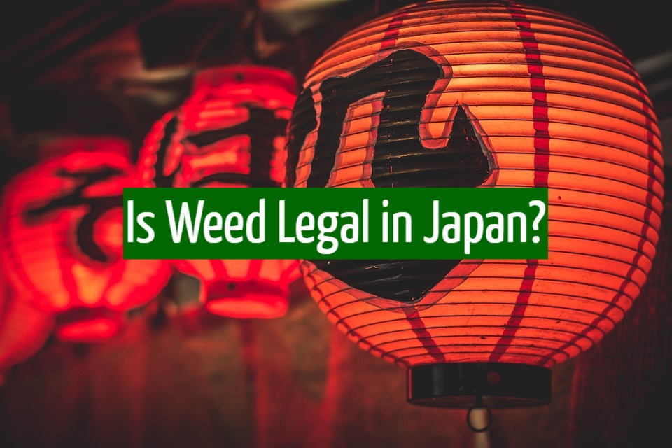 Is Weed Legal in Japan?