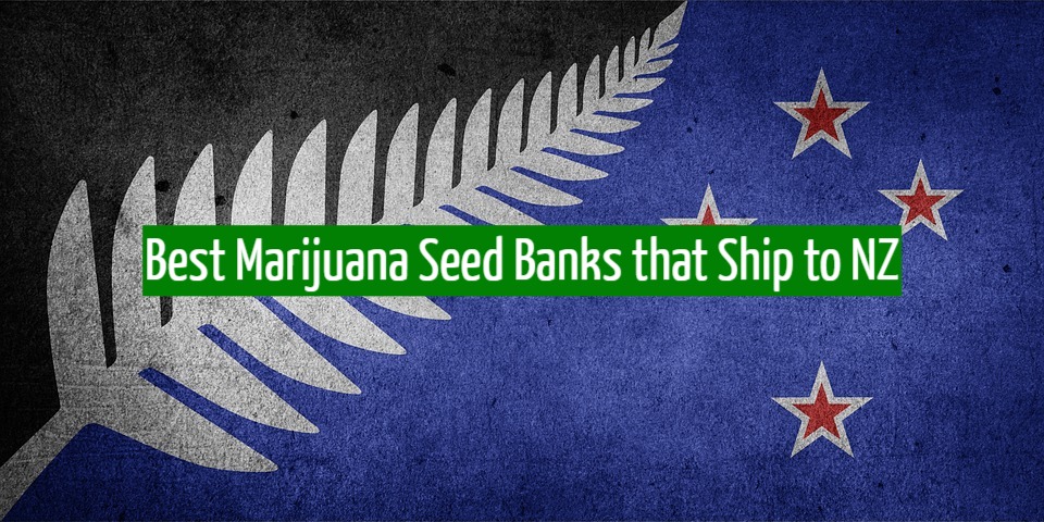 Best Marijuana Seed Banks that Ship to NZ