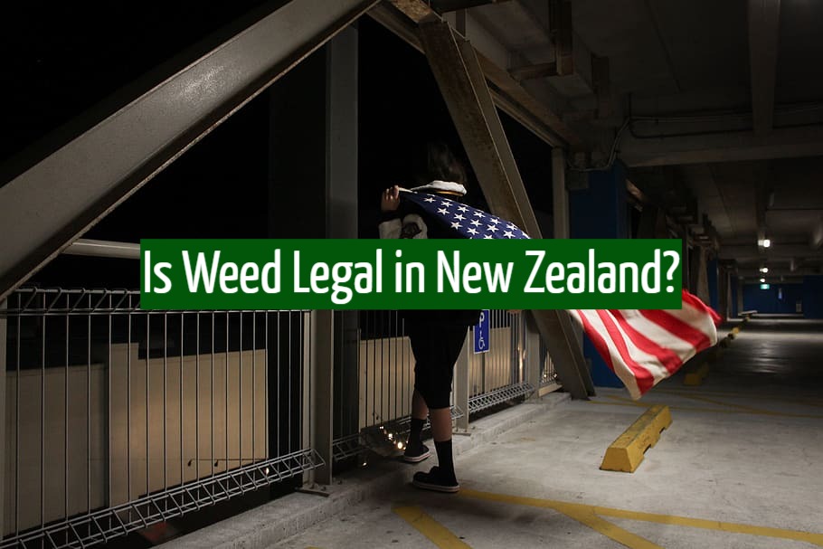 Is Weed Legal in New Zealand?