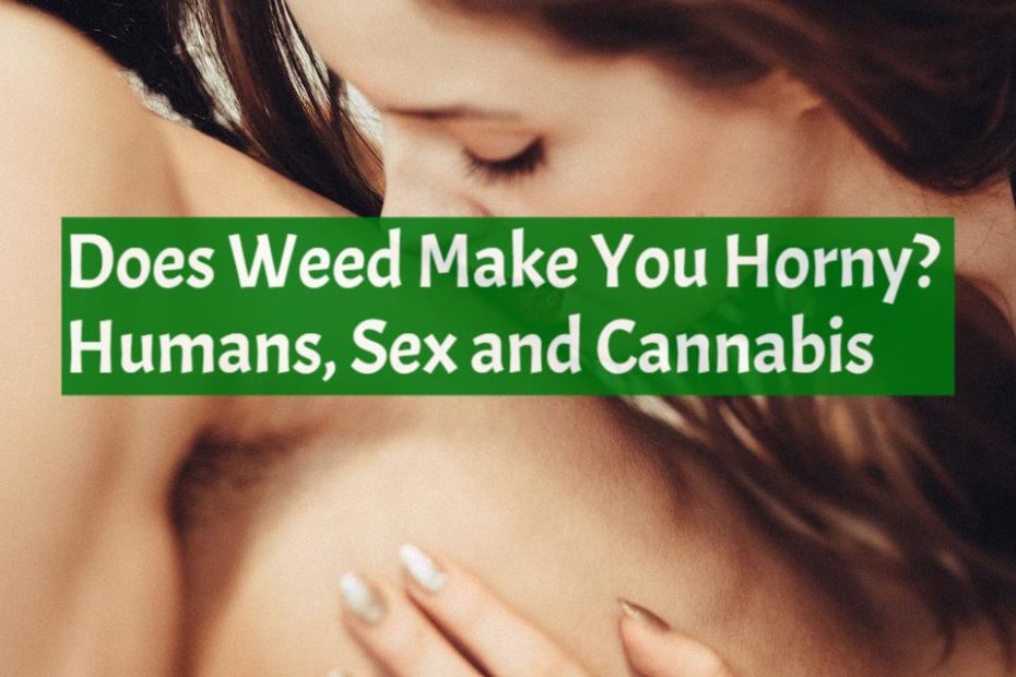 Does Weed Make You Horny?