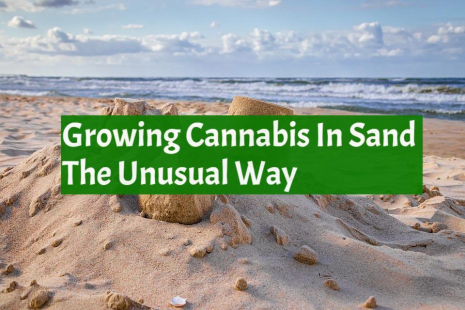 Growing Cannabis In Sand