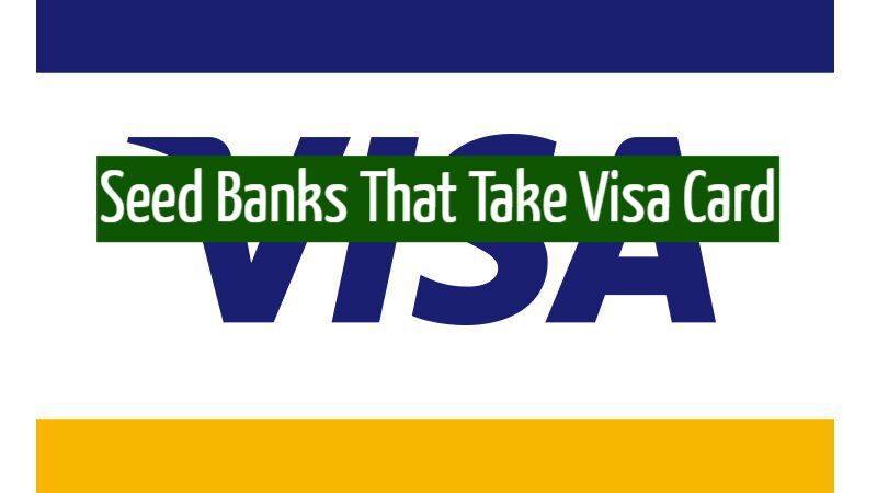 Seed Banks That Take Visa Card