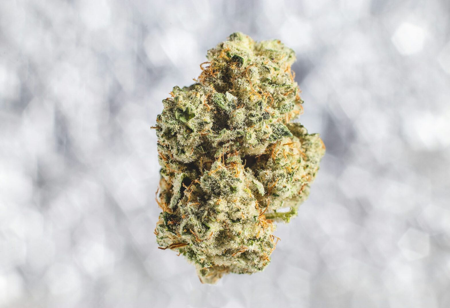 X-Files Marijuana Strain Information